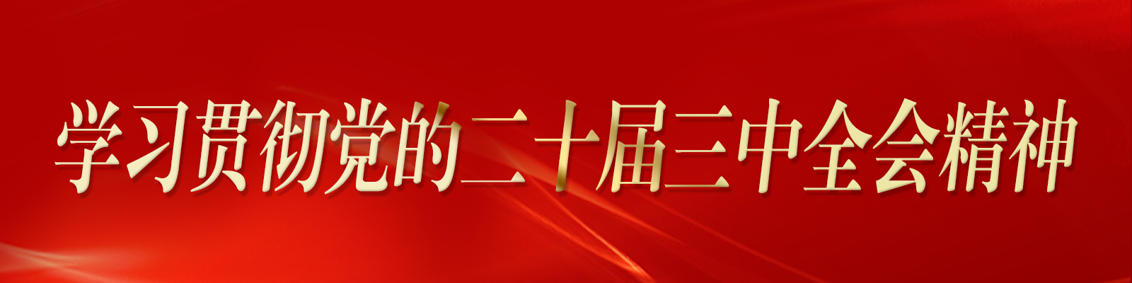 党的二十届三中全会精神专栏